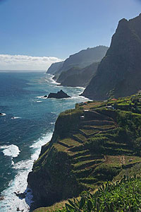 8-madeira