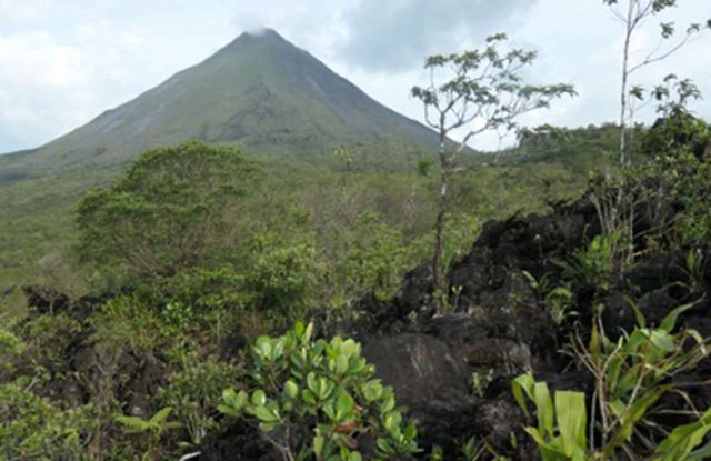 Naturparadies Costa Rica