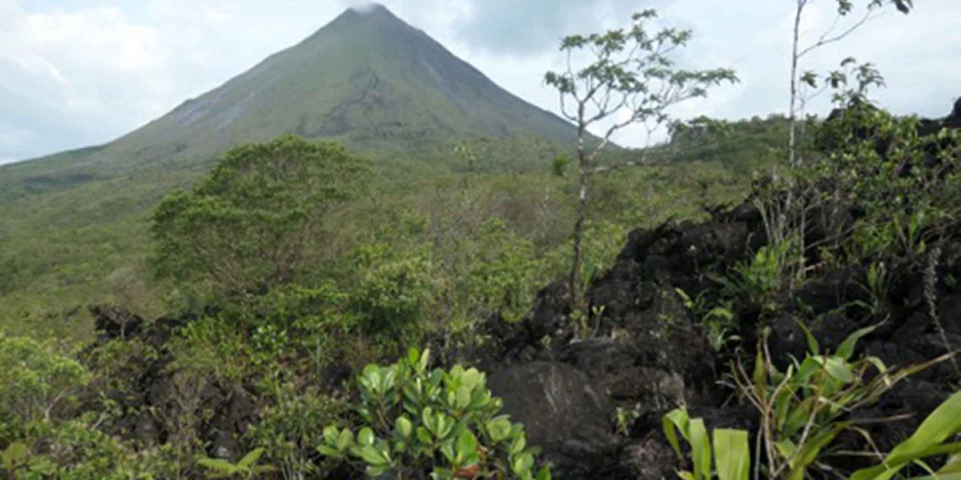 Naturparadies Costa Rica